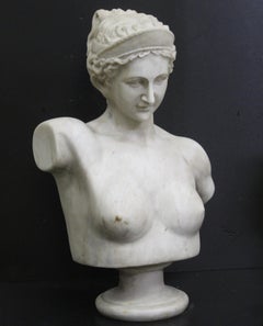 Bust of Diana