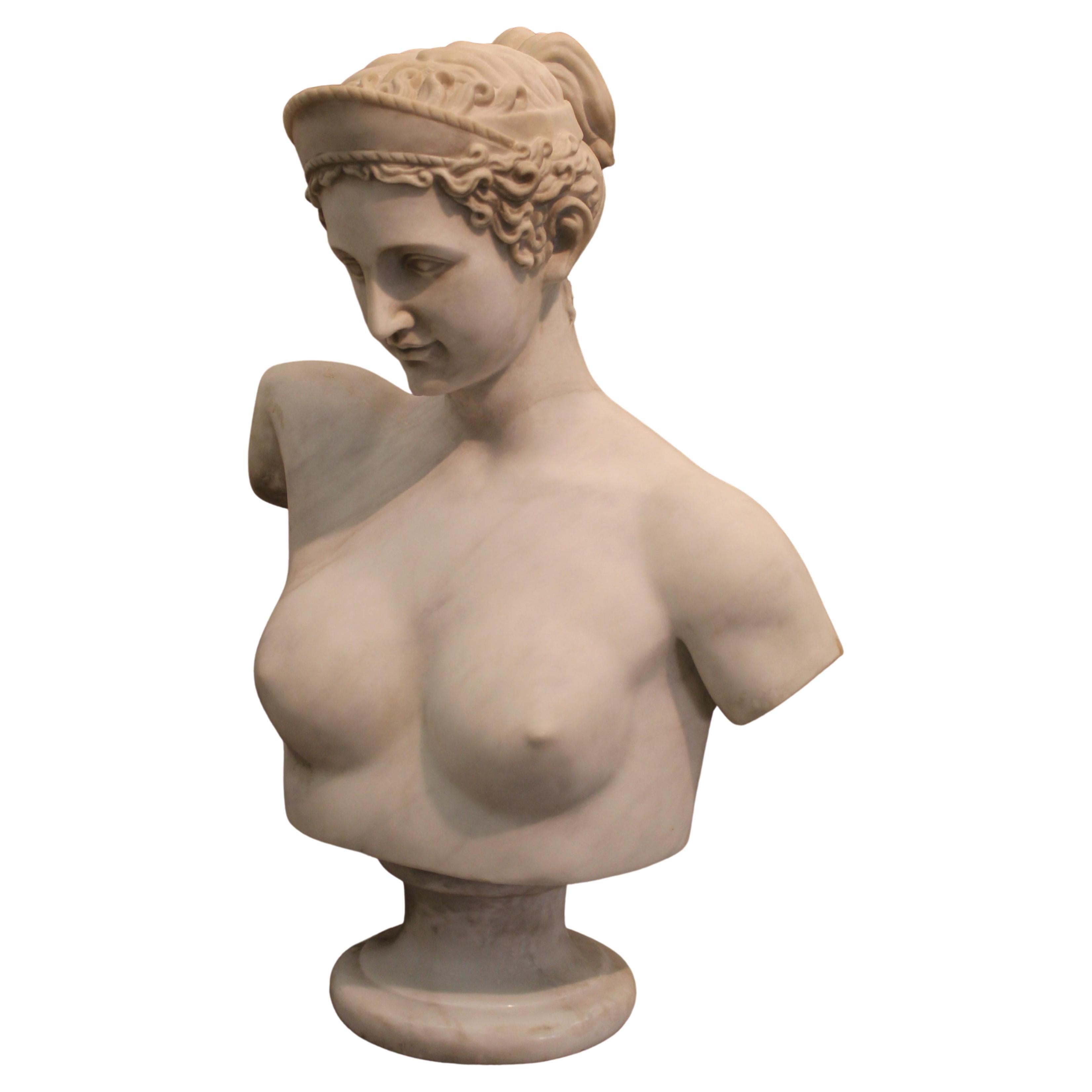 Bust of Diana For Sale