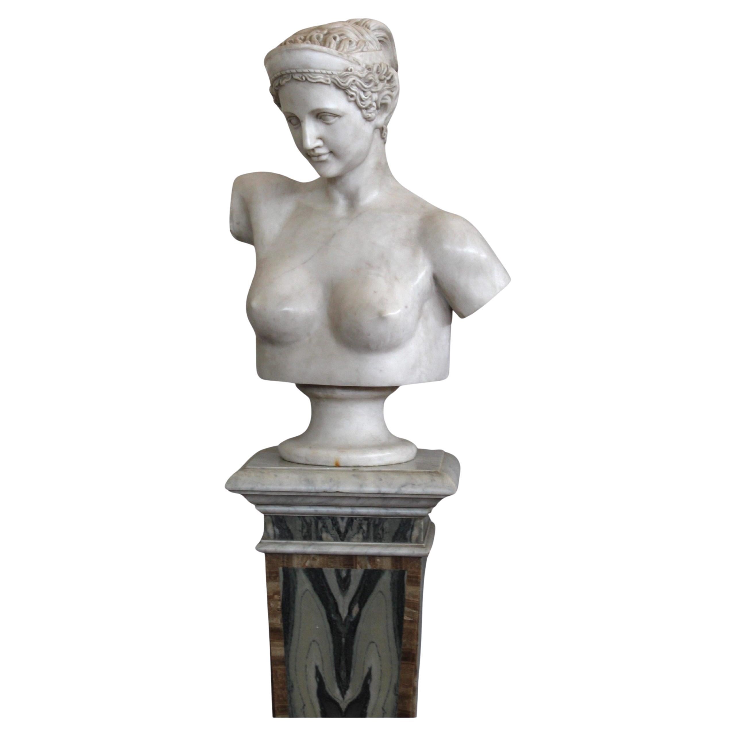 Busto de Diana