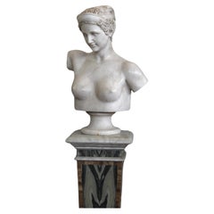 Büste von Diana