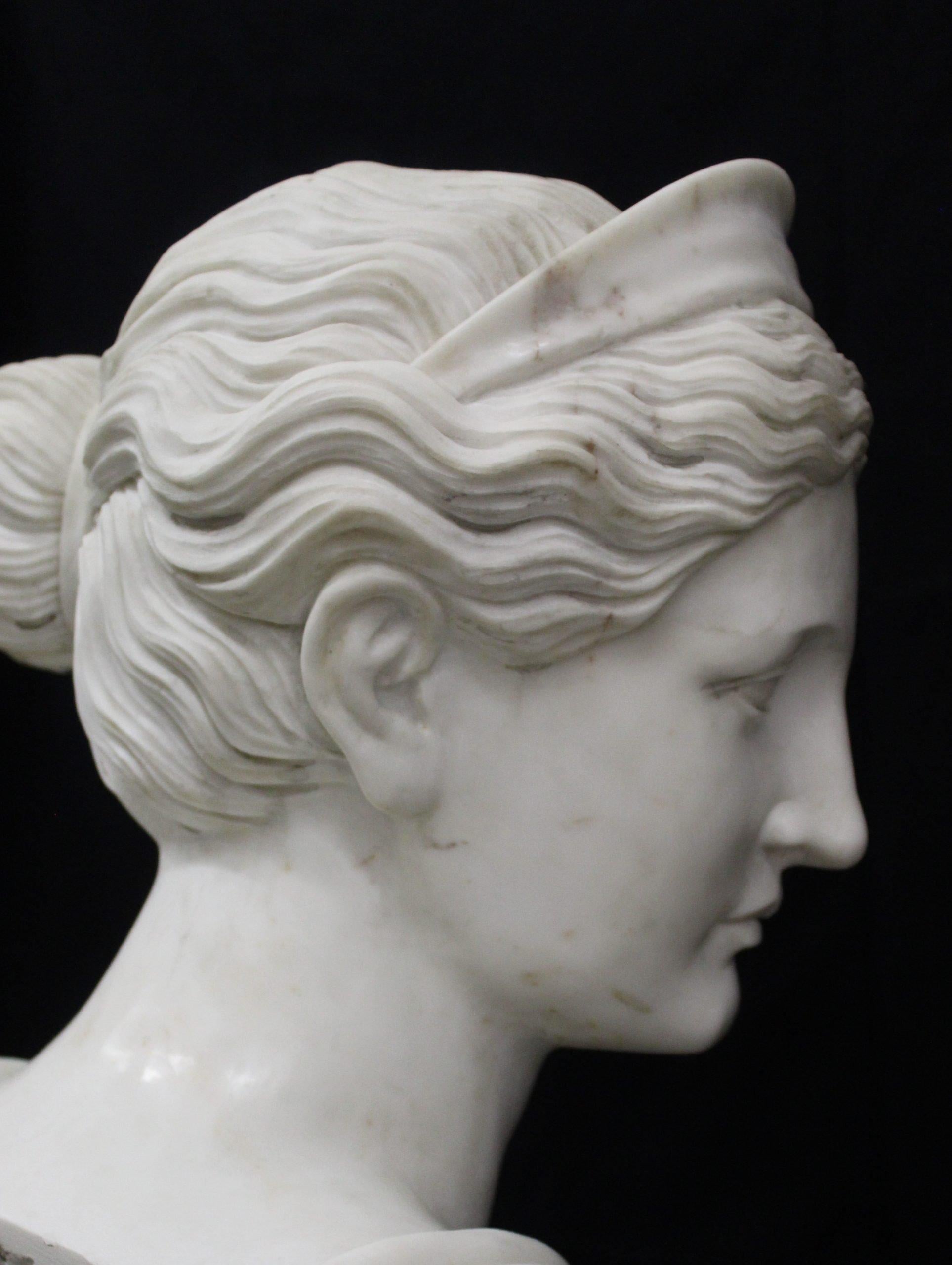 Bust of Diana the Huntress For Sale 1