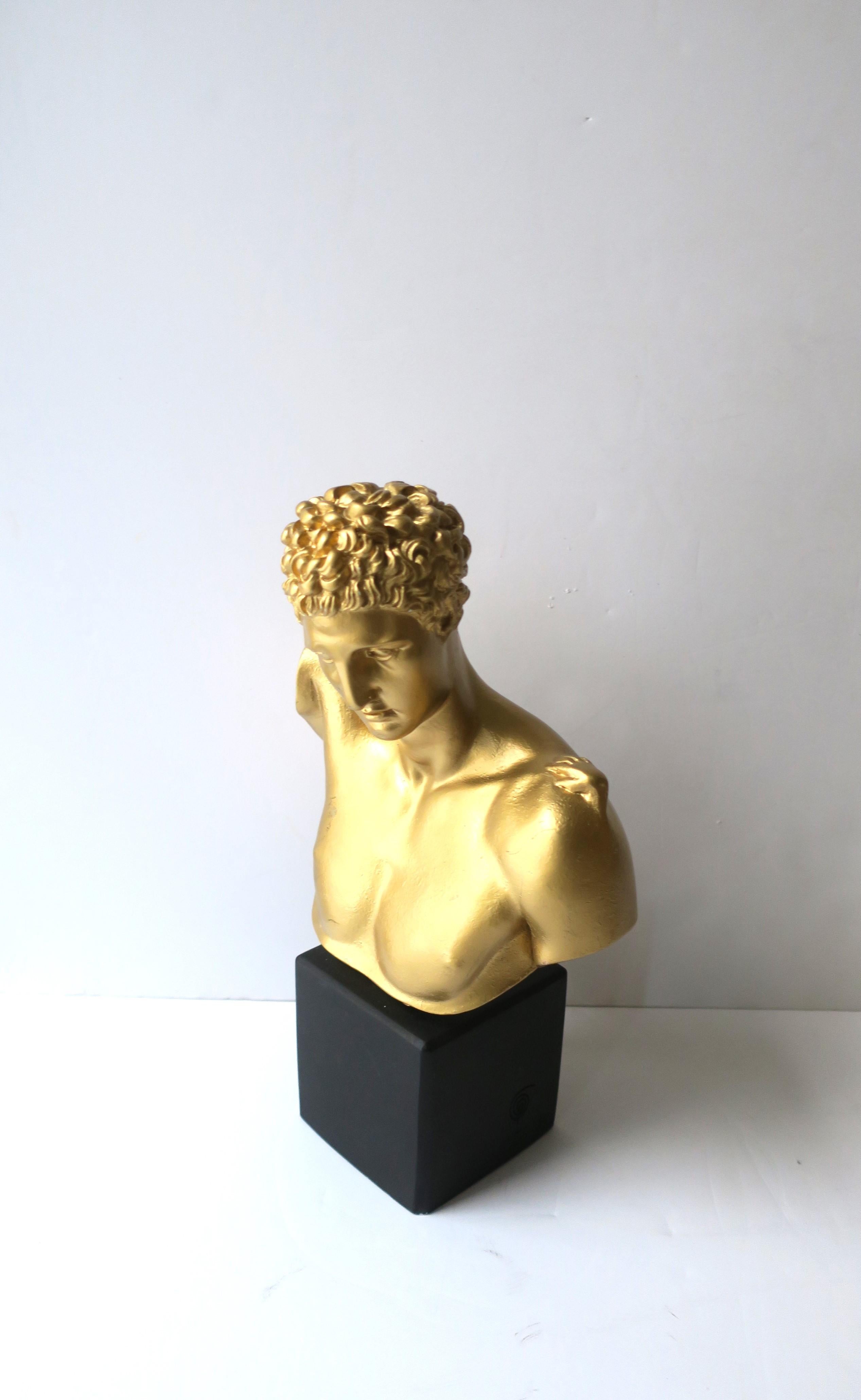 Plaster Bust of Hermes  For Sale
