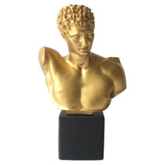 Used Bust of Hermes 
