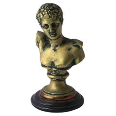 Classical Greek Busts