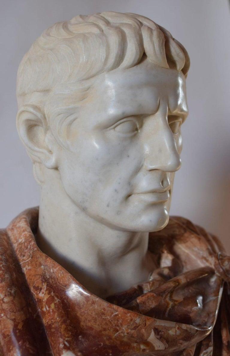 Modern Bust of Octavian Augustus in Breccia Pernice and white Carrara  end 20th Century For Sale