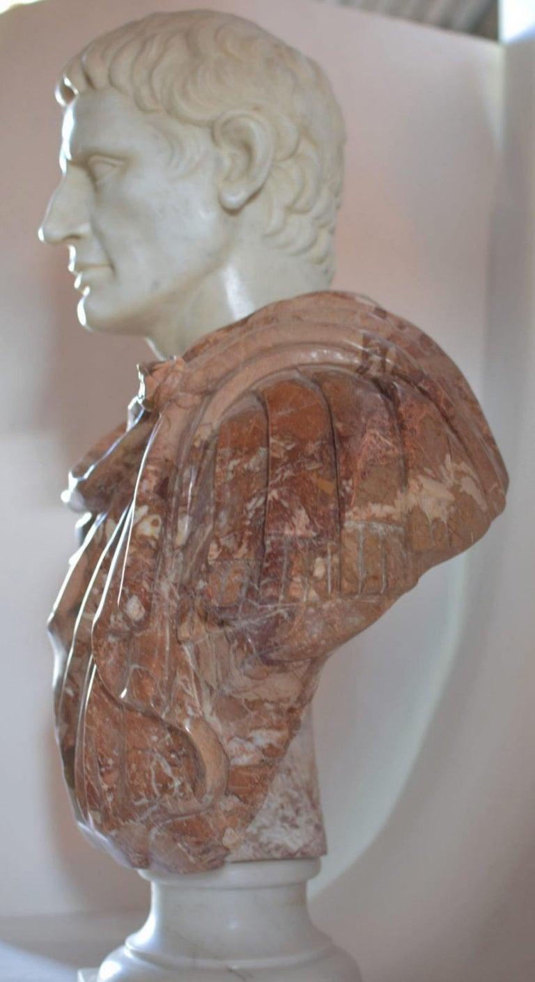 Italian Bust of Octavian Augustus in Breccia Pernice and white Carrara  end 20th Century For Sale