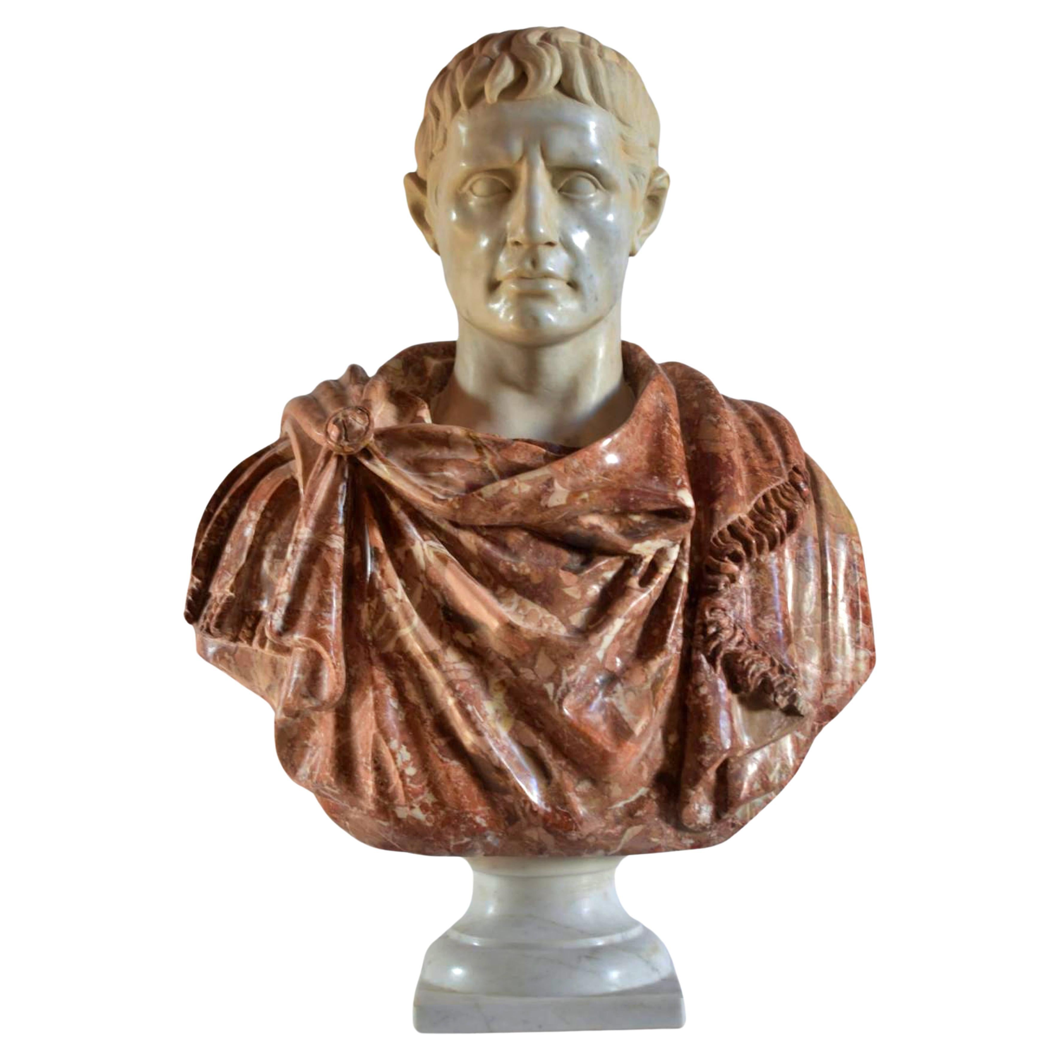 Bust of Octavian Augustus in Breccia Pernice and white Carrara  end 20th Century For Sale