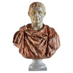 Used Bust of Octavian Augustus in Breccia Pernice and white Carrara  end 20th Century