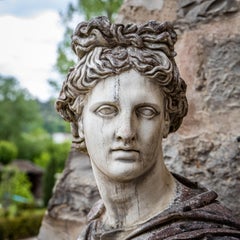 Bust of the Apollo Belvedere in Natural Stone, 2nd Half 20th Century