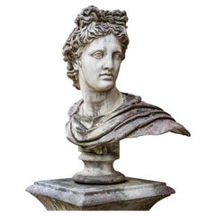 Bust of the Apollo Belvedere in Natural Stone, 2nd Half 20th Century