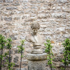 Busto del Antinoo / Hermes del Capitolio, en piedra moldeada, finales del siglo XX