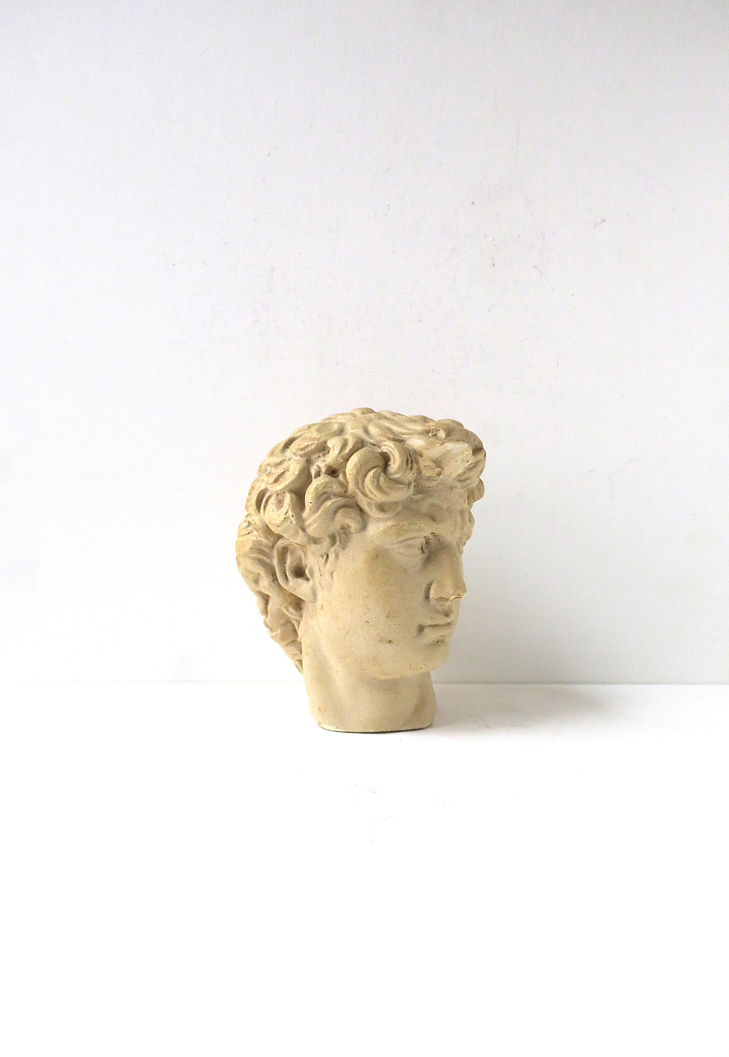 A plaster/composition cast head bust of the David, in the classical Roman style, circa mid-20th century. 

Column bookend(s) shown available separately, search 1stDibs ref. #: LU1314244220202