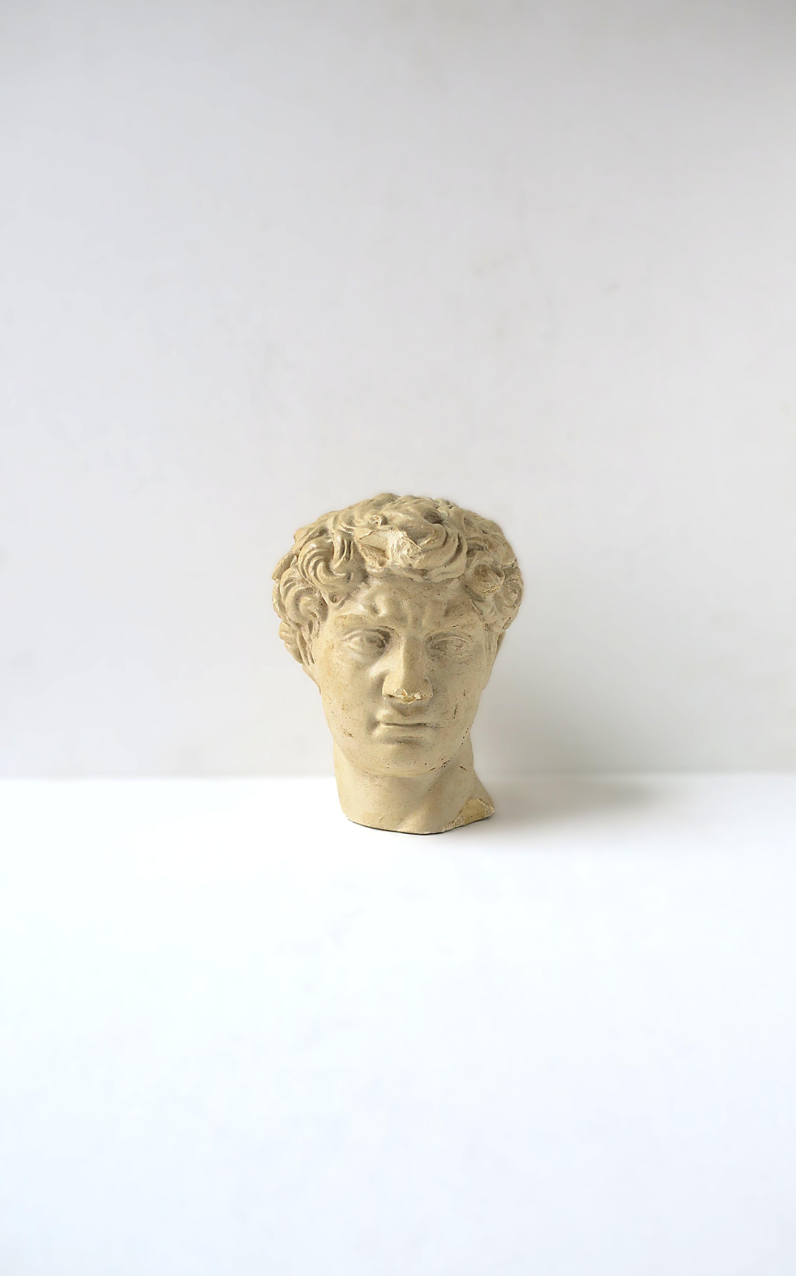 Classical Roman Bust of the David