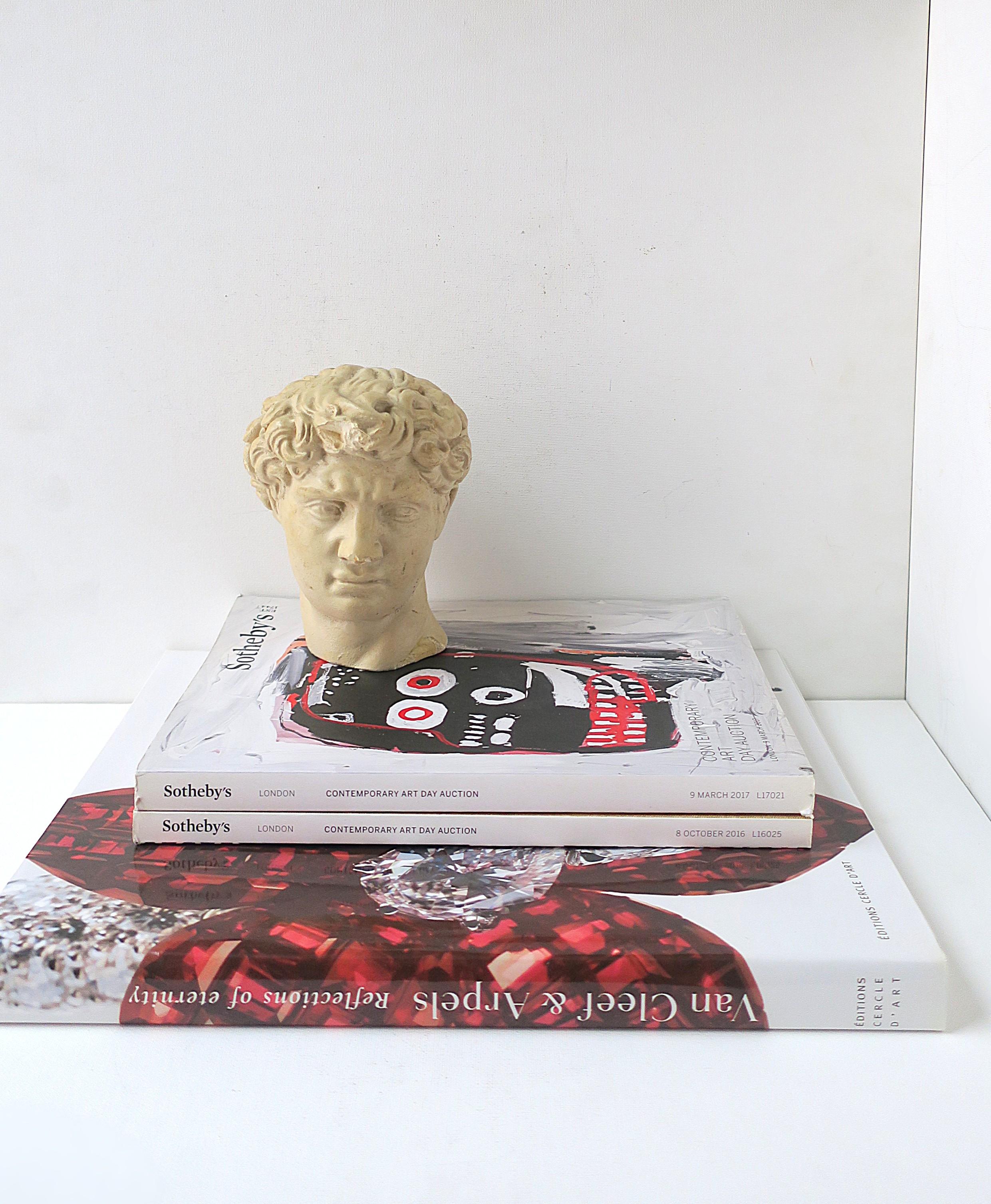 Bust of the David In Good Condition In New York, NY