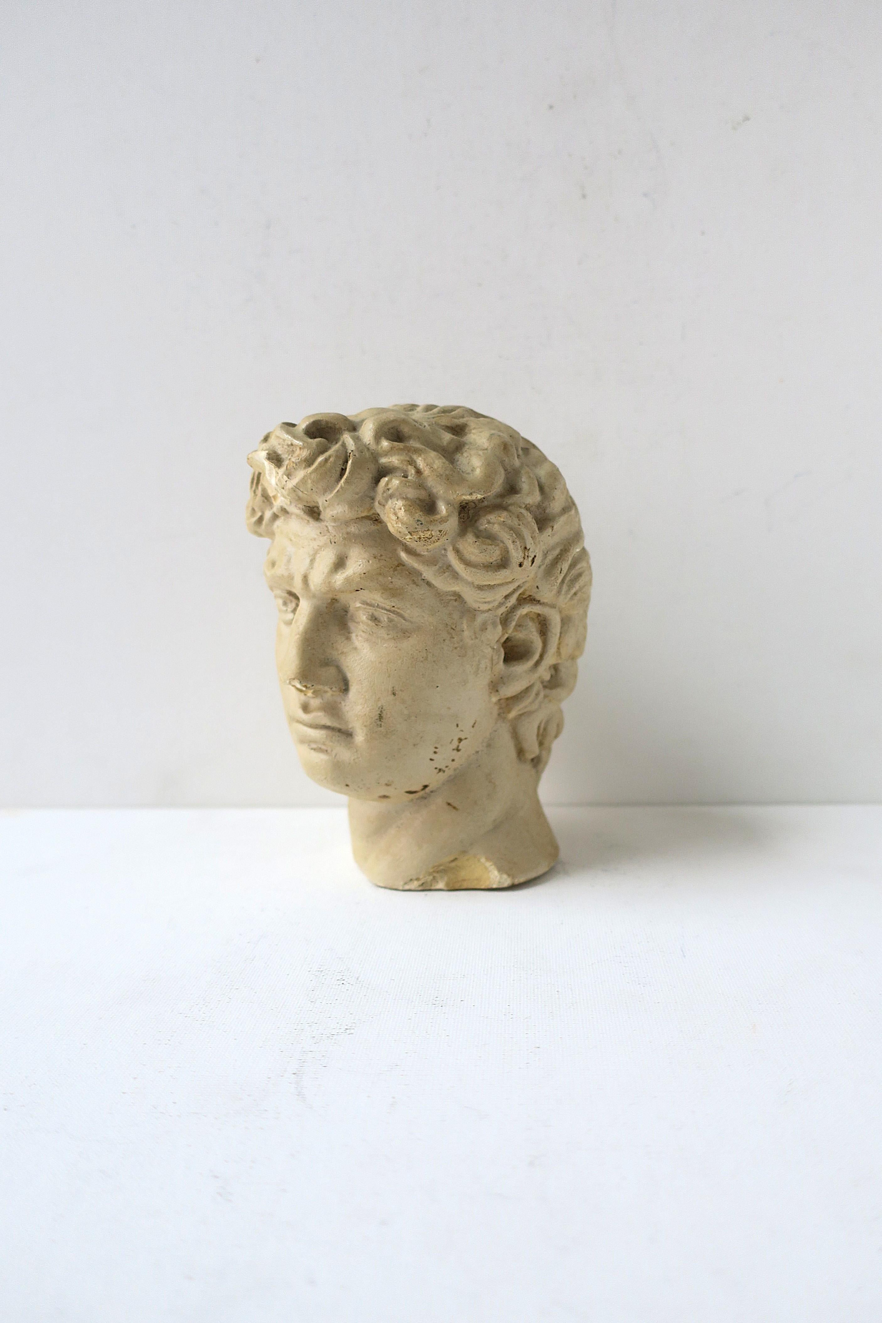 Bust of the David 1