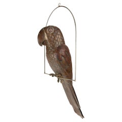 Bustamante Style Parrot on a swing