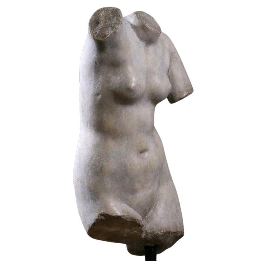 Bust fragment of Venus, goddess of Love, seduction, and beauty in Roman mythology. The original statue dates back to the 5th century BC.
Sourced by Martyn Lawrence Bullard from Paris, France

