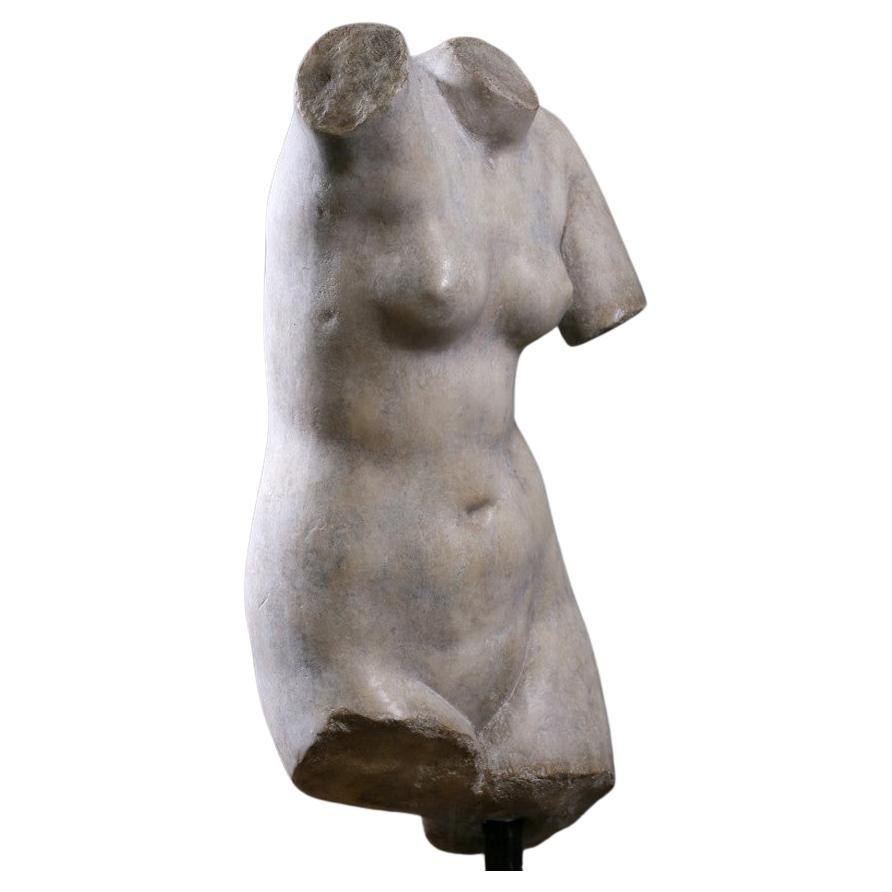 Fragmento de busto de Venus, diosa del Amor, la seducción y la belleza en la mitología romana. La estatua original data del siglo V a.C.
Obtenido por Martyn Lawrence Bullard desde París, Francia


