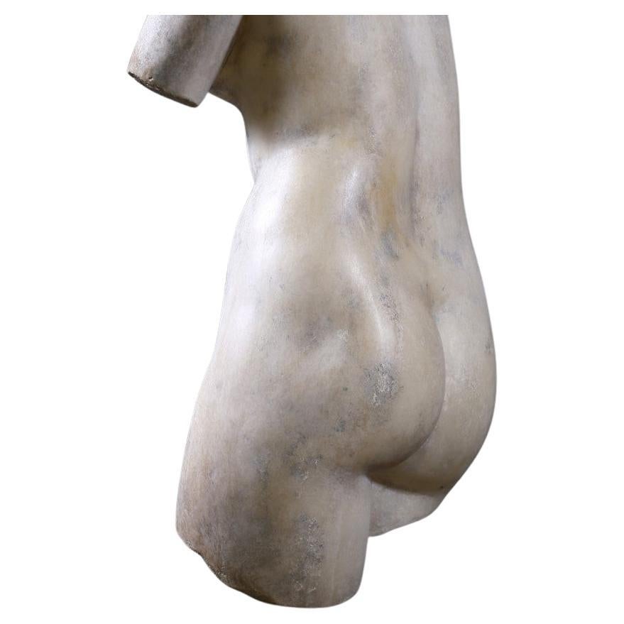 Neoclassical Buste De Venus