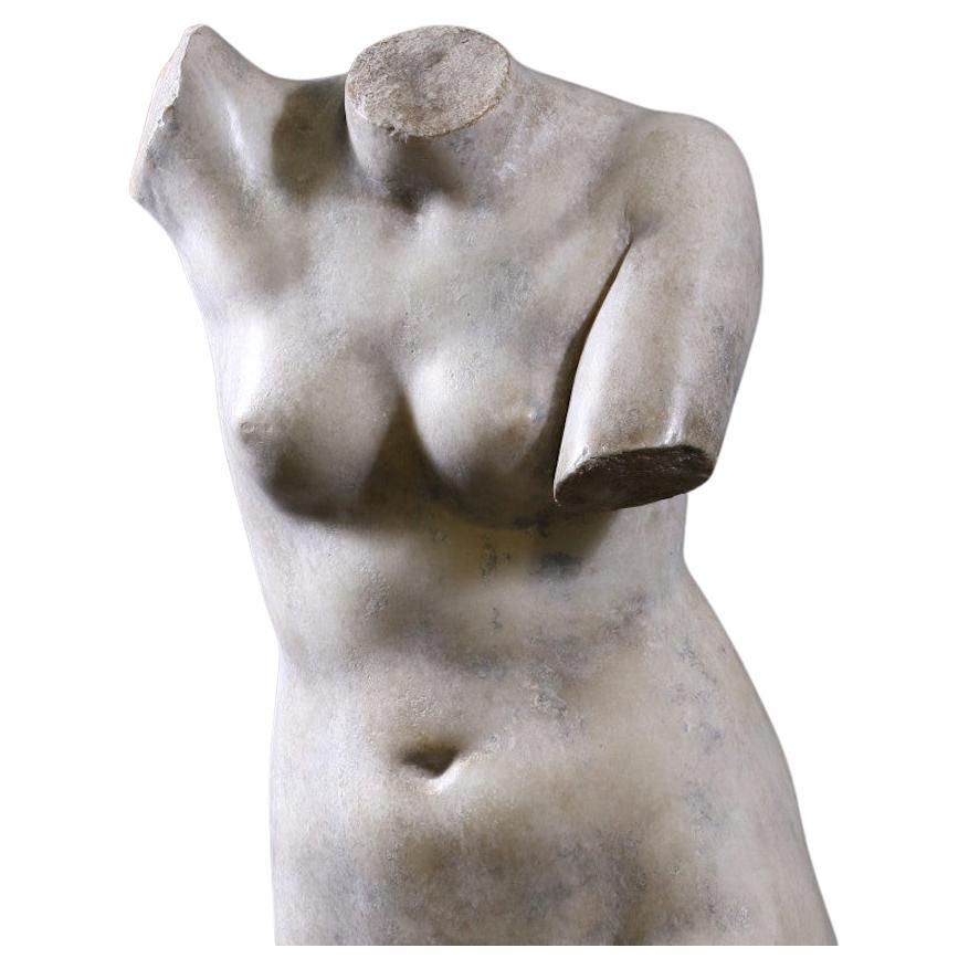 French Buste De Venus