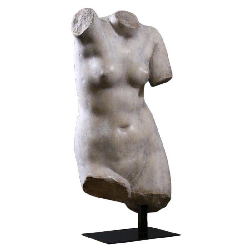 Buste De Venus