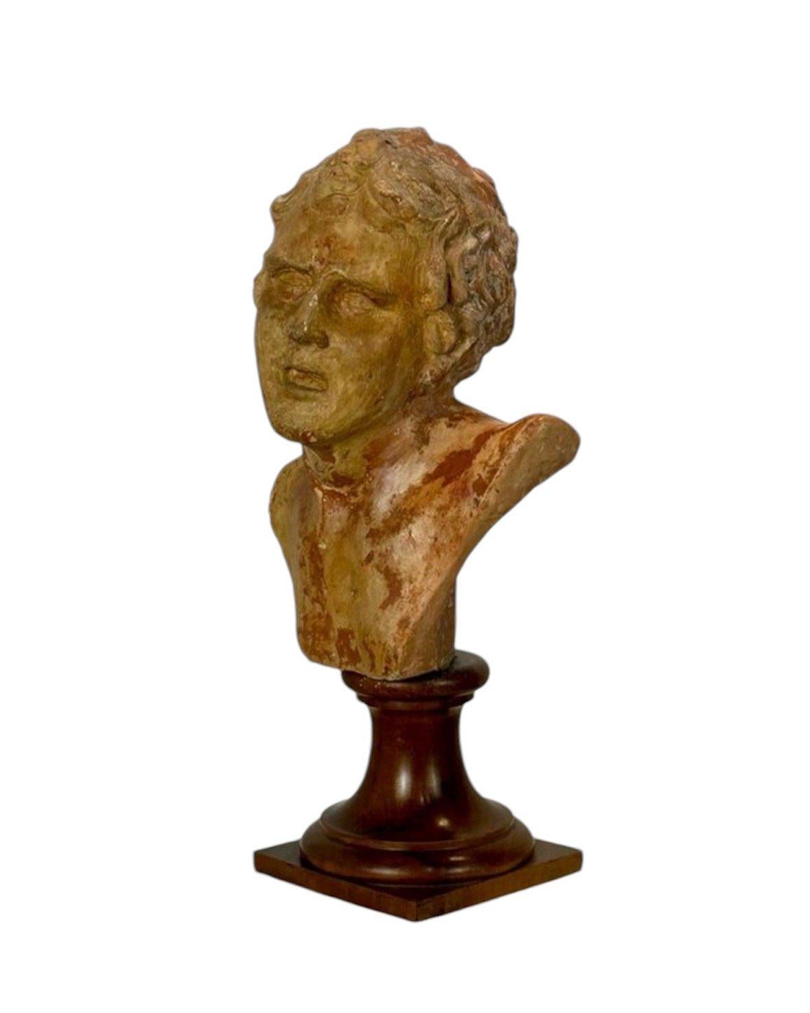 Busto clásico maschile CIRCA 1.890, realizzato in terracotta e con resti della policromia originale.