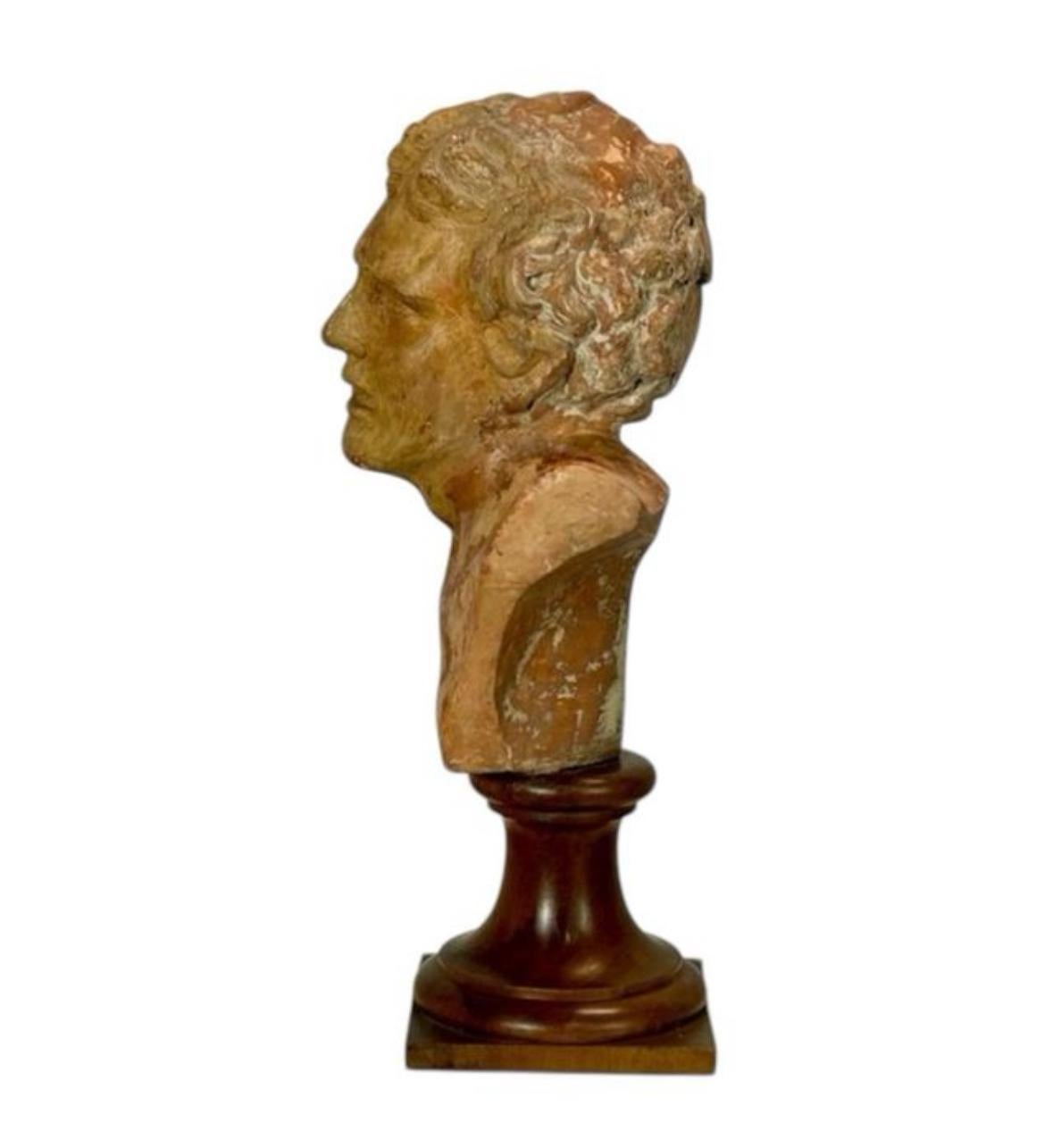 Terracotta Busto clásico masculino in vendita