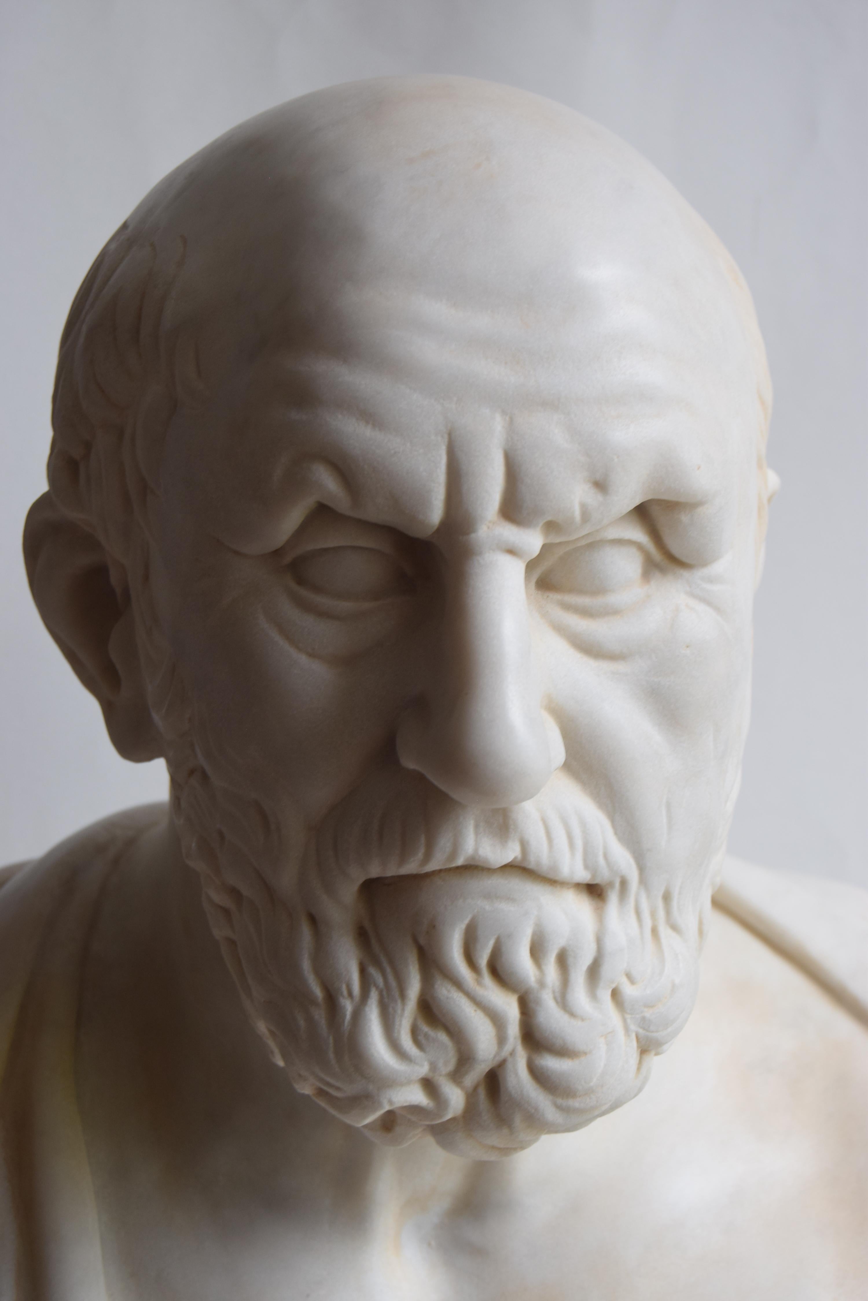 Italian Bust of Hippocrates carved on white Carrara marble For Sale