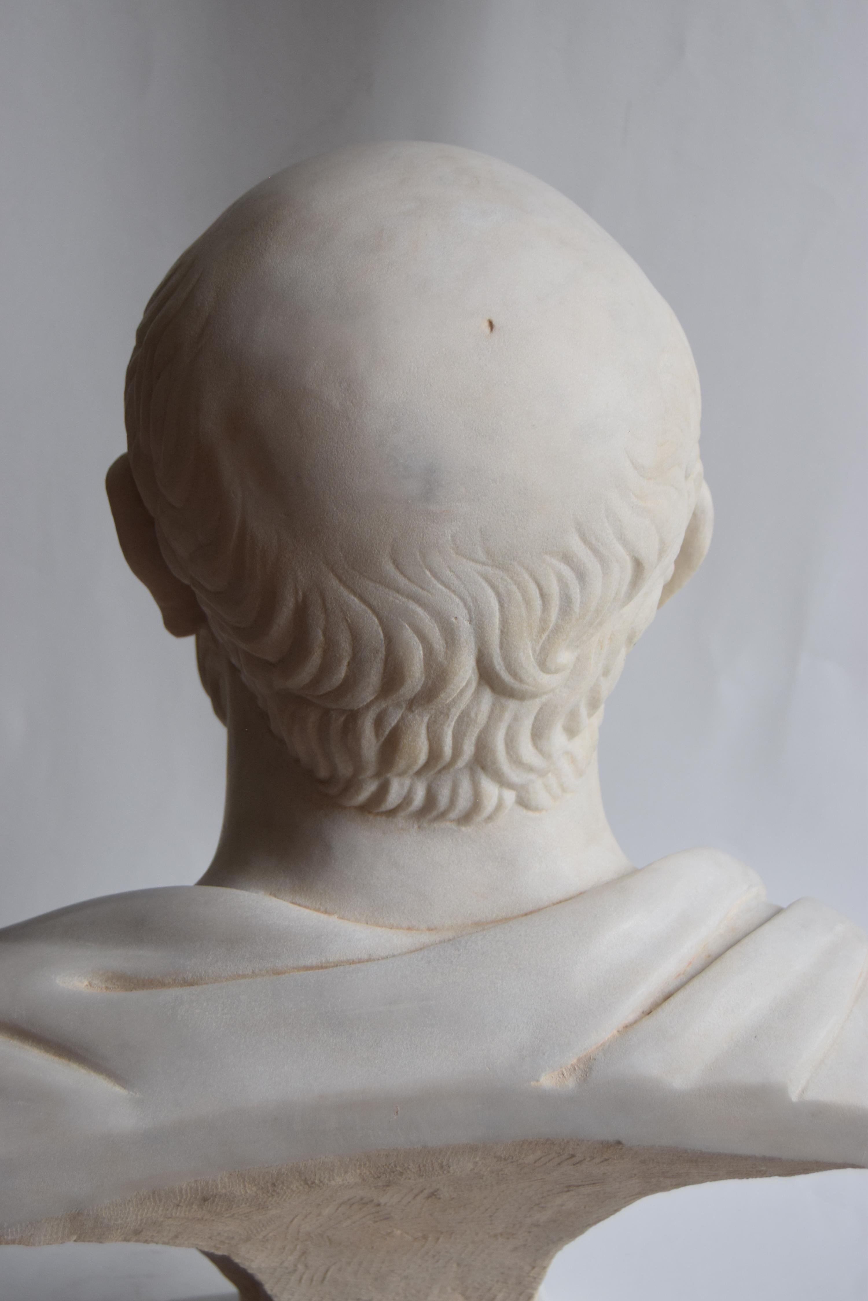 Bust of Hippocrates carved on white Carrara marble In Excellent Condition For Sale In Tarquinia, IT