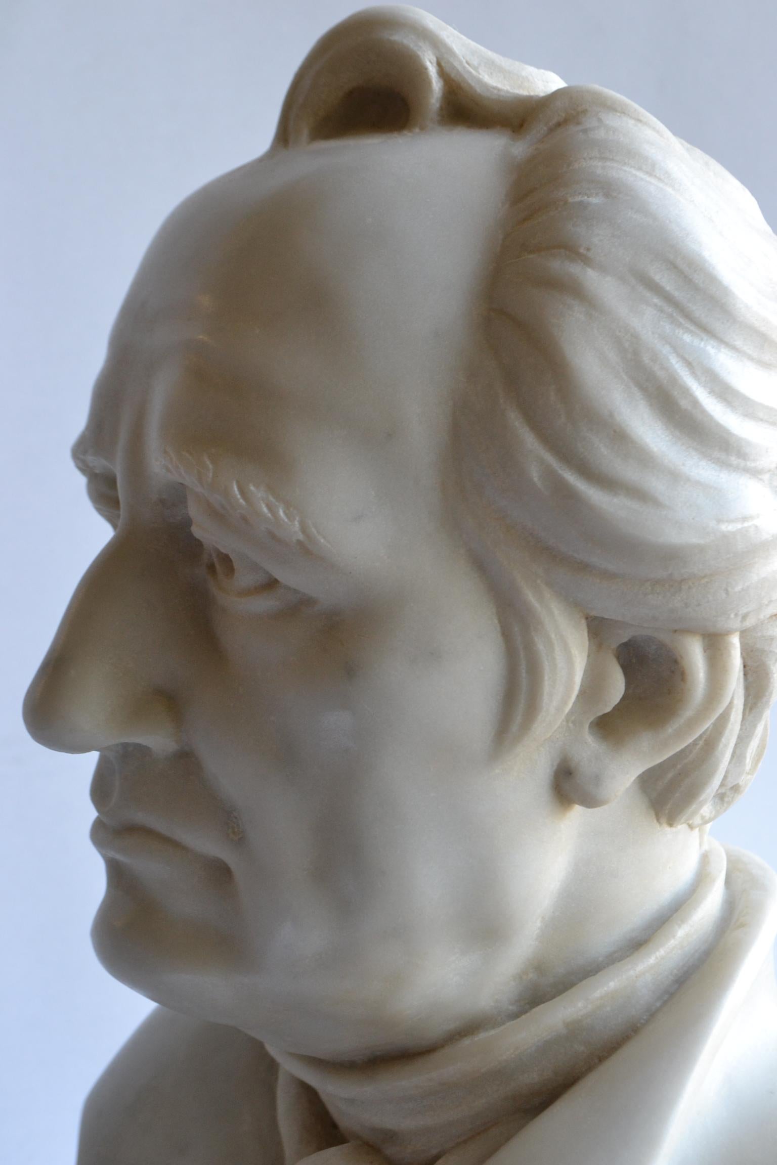 Busto di Johann Wolfgang von Goethe scolpito in marmo bianco Carrara For Sale 3