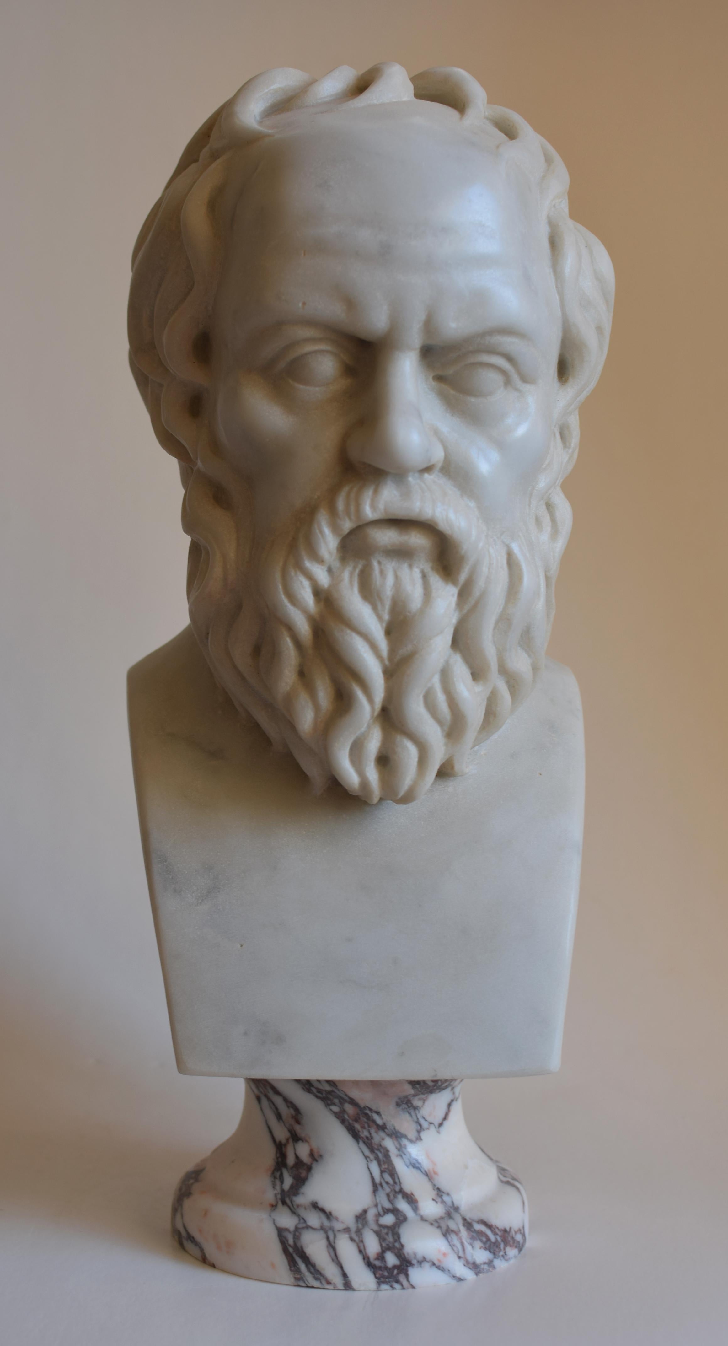 Classical Greek Busto di Socrate in marmo bianco di Carrara For Sale