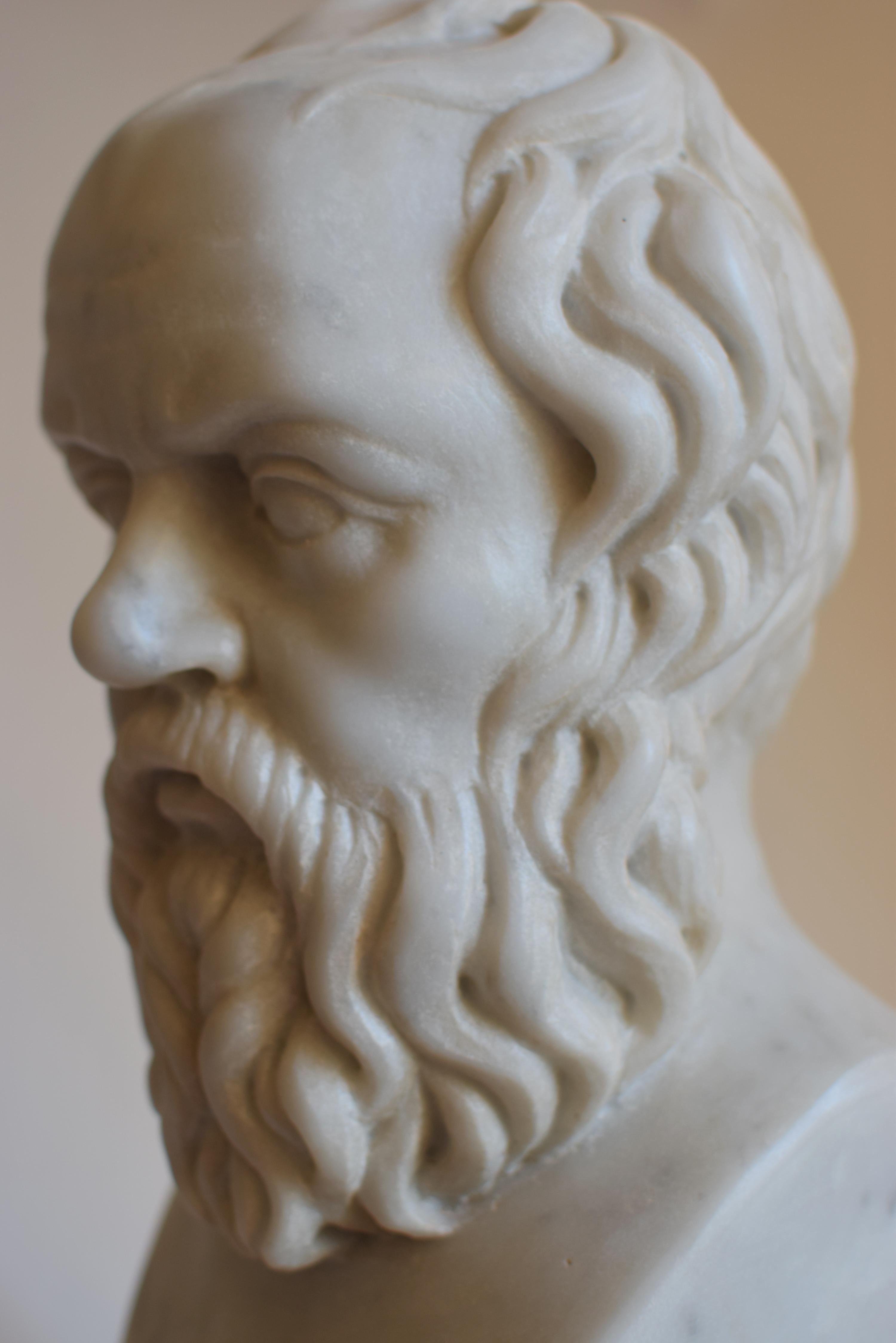 Marbre Buste de Socrate en marbre blanc de Carrare en vente