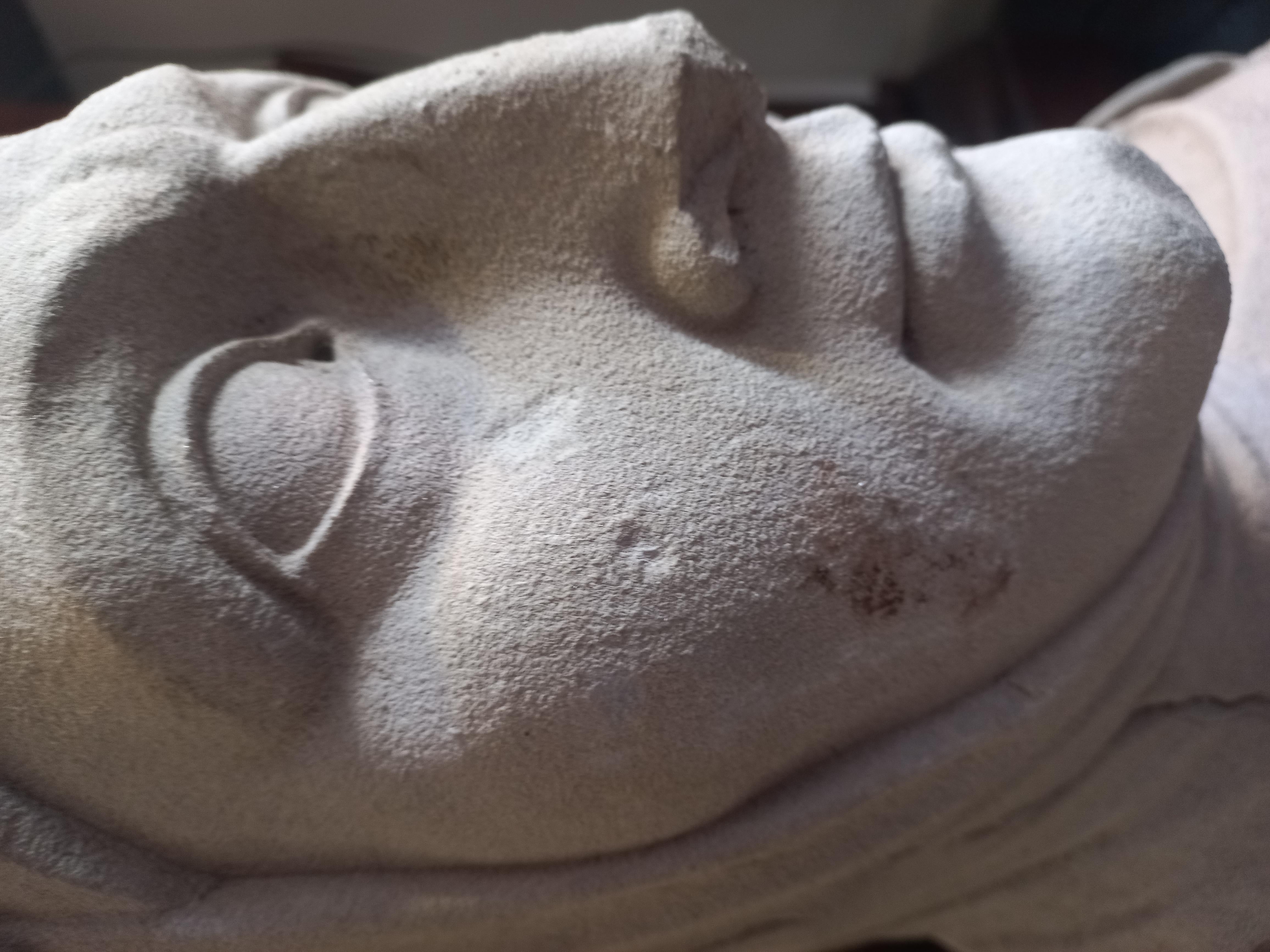 Pierre Busto en pietra raffigurante il ritratto di Francesco Petrarca en vente