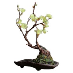 Ranuncolo d'inverno di Yumiko Kuwahata / Bonsai / wabi-sabi