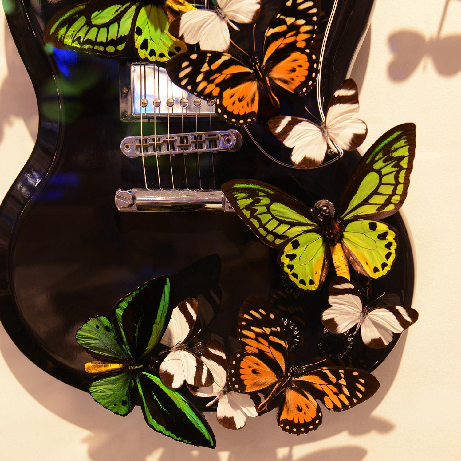 Guitar AC DC - Papillons en vente 4