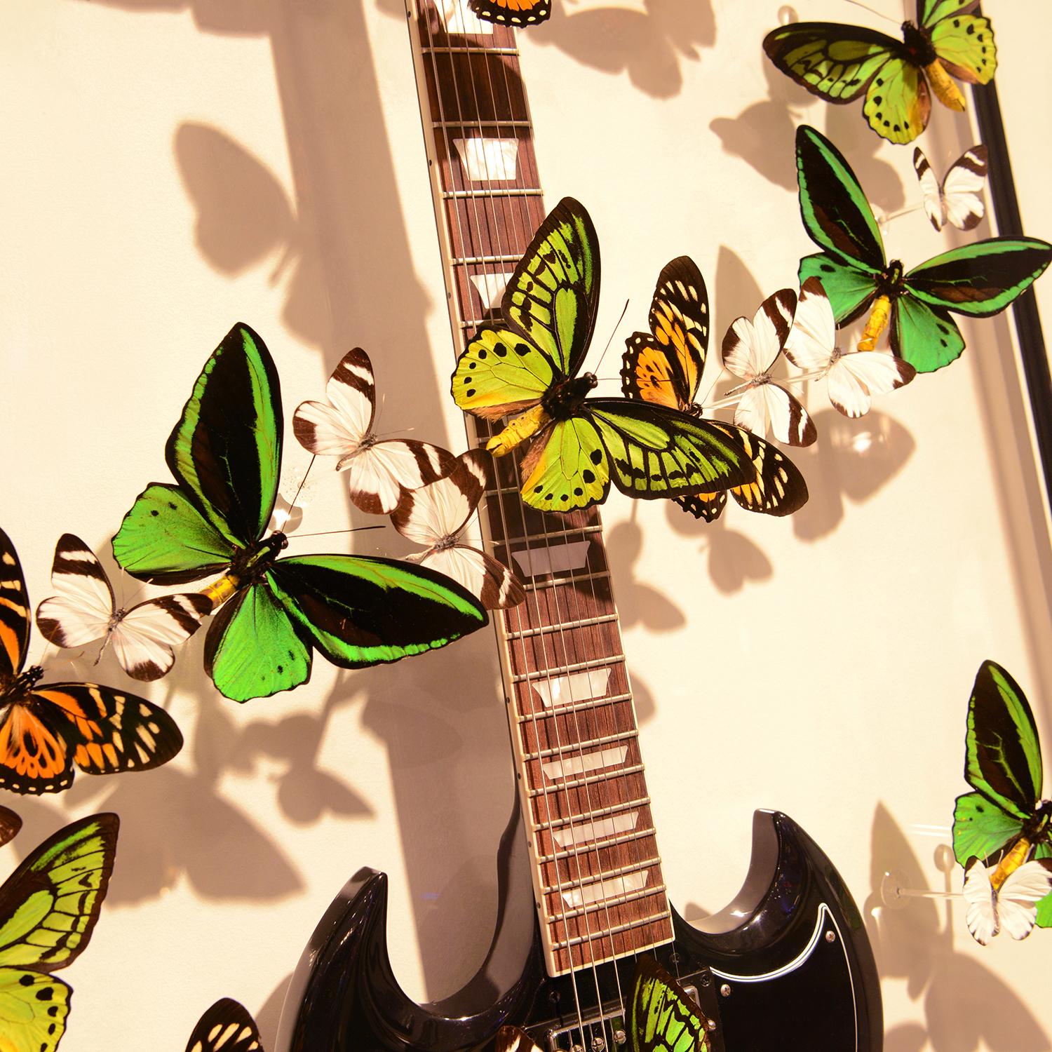 gibson butterfly guitar
