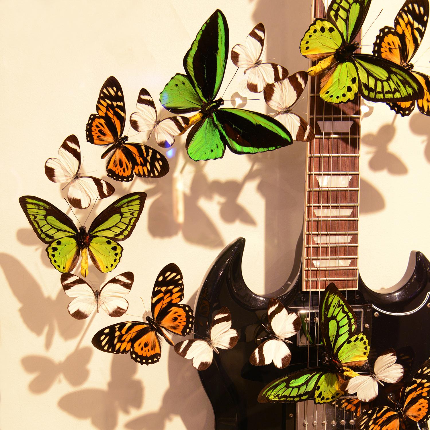 XXIe siècle et contemporain Guitar AC DC - Papillons en vente