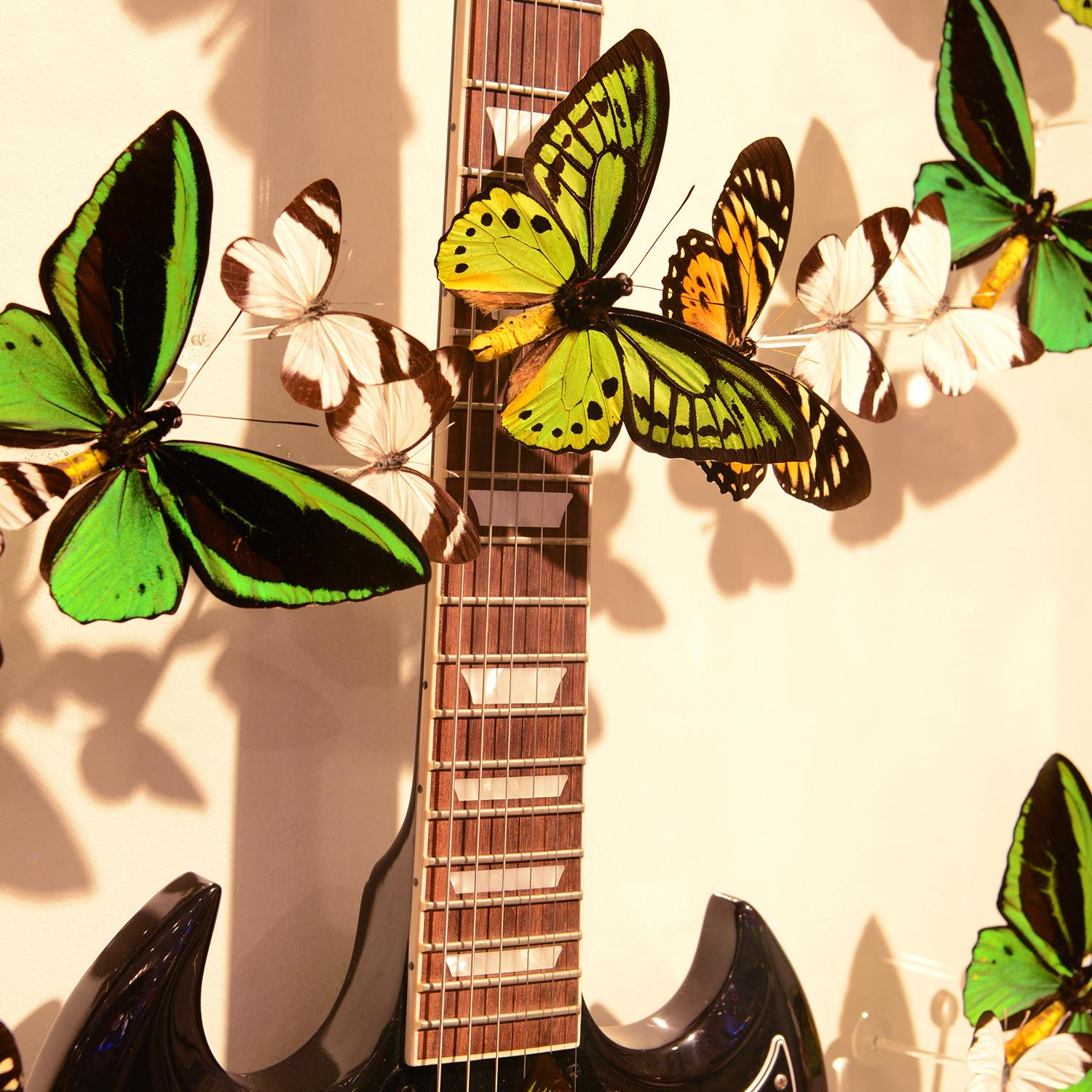 Guitar AC DC - Papillons en vente 1