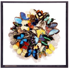 Butterflies Multi-Colors Medium Frame Wall Decoration