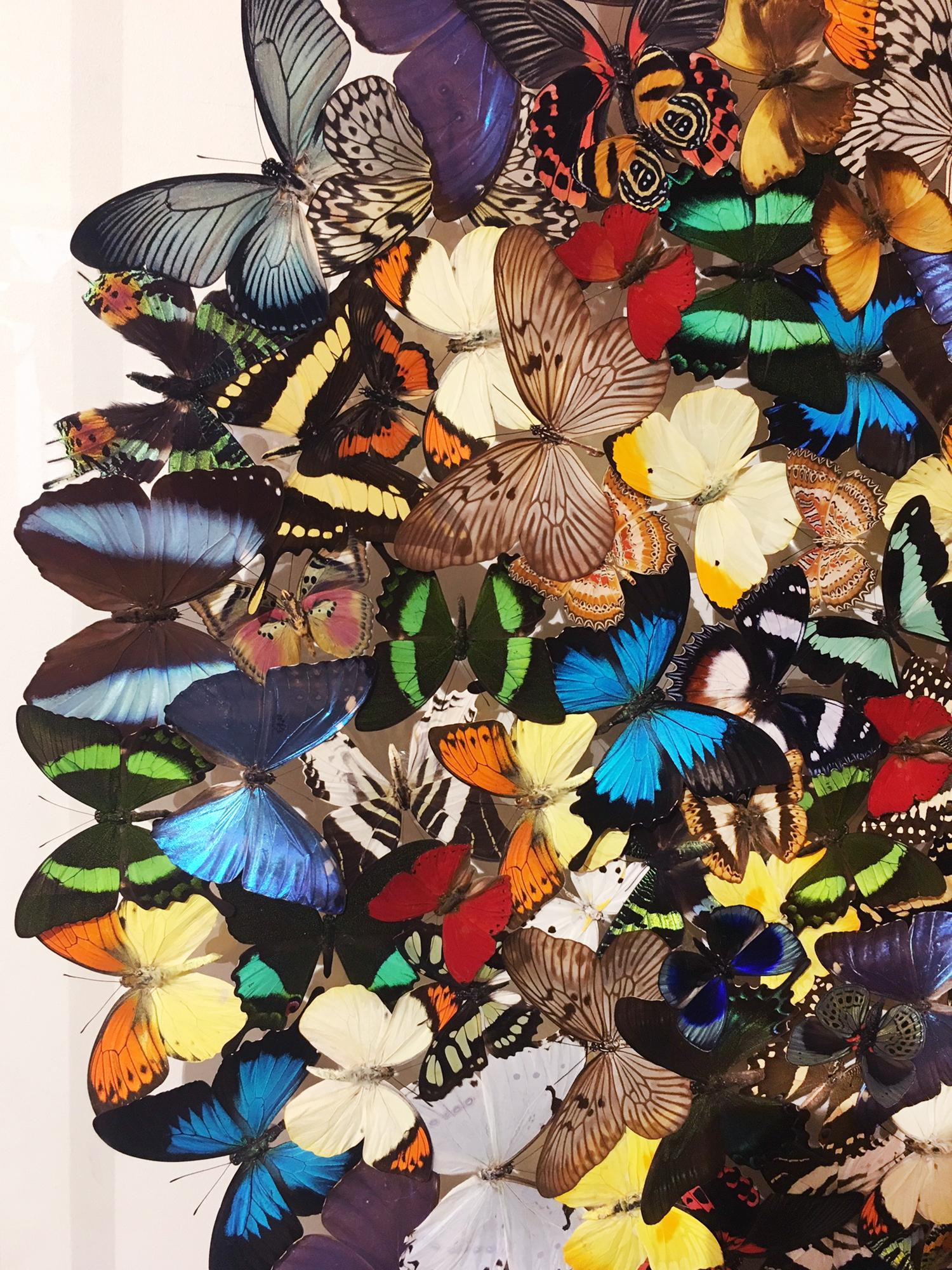 Hand-Crafted Butterflies Multicolors Wall Decoration