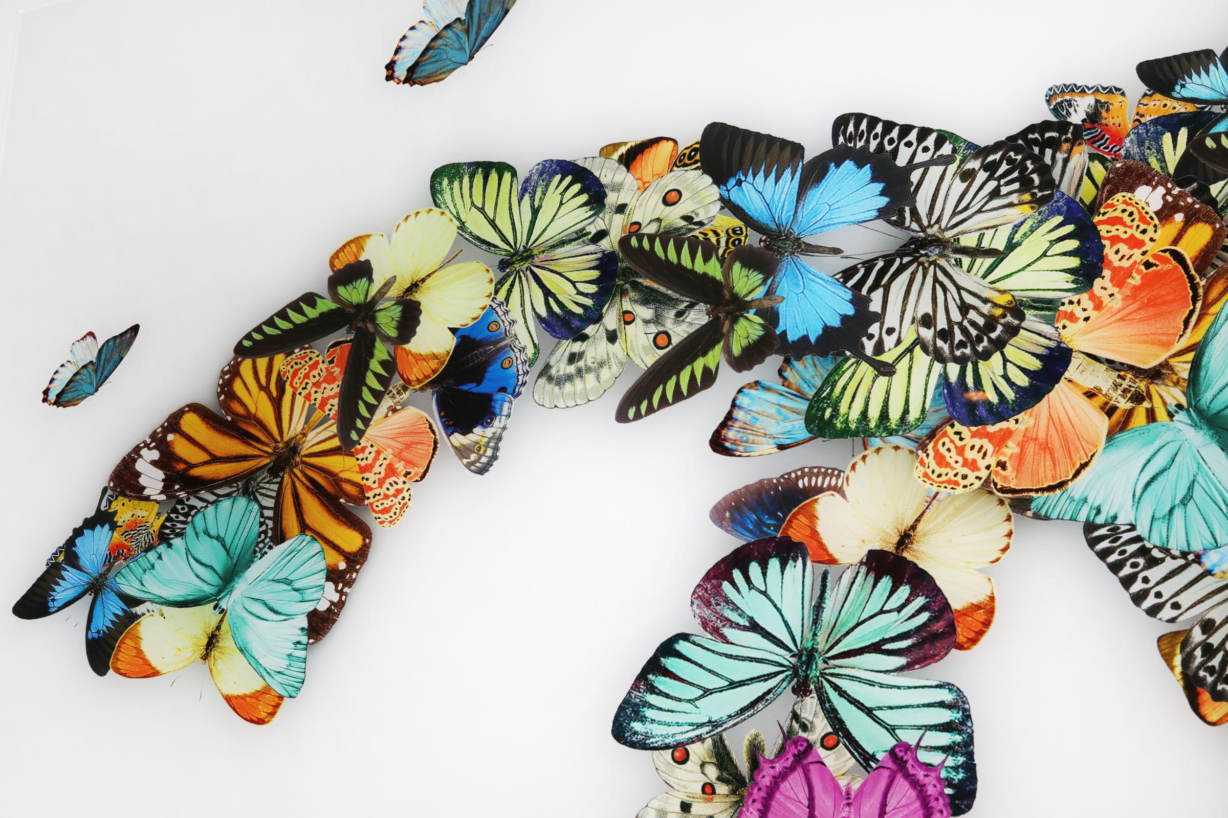 Contemporary Butterflies Plexiglass Wall Decoration For Sale