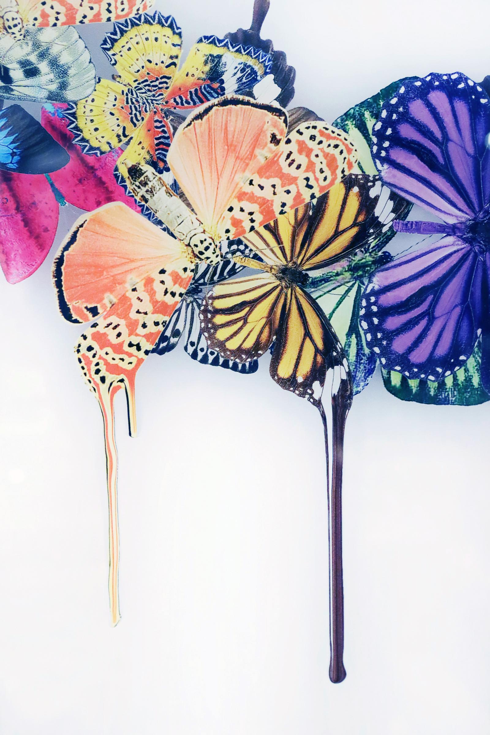 Butterflies Plexiglass Wall Decoration For Sale 2
