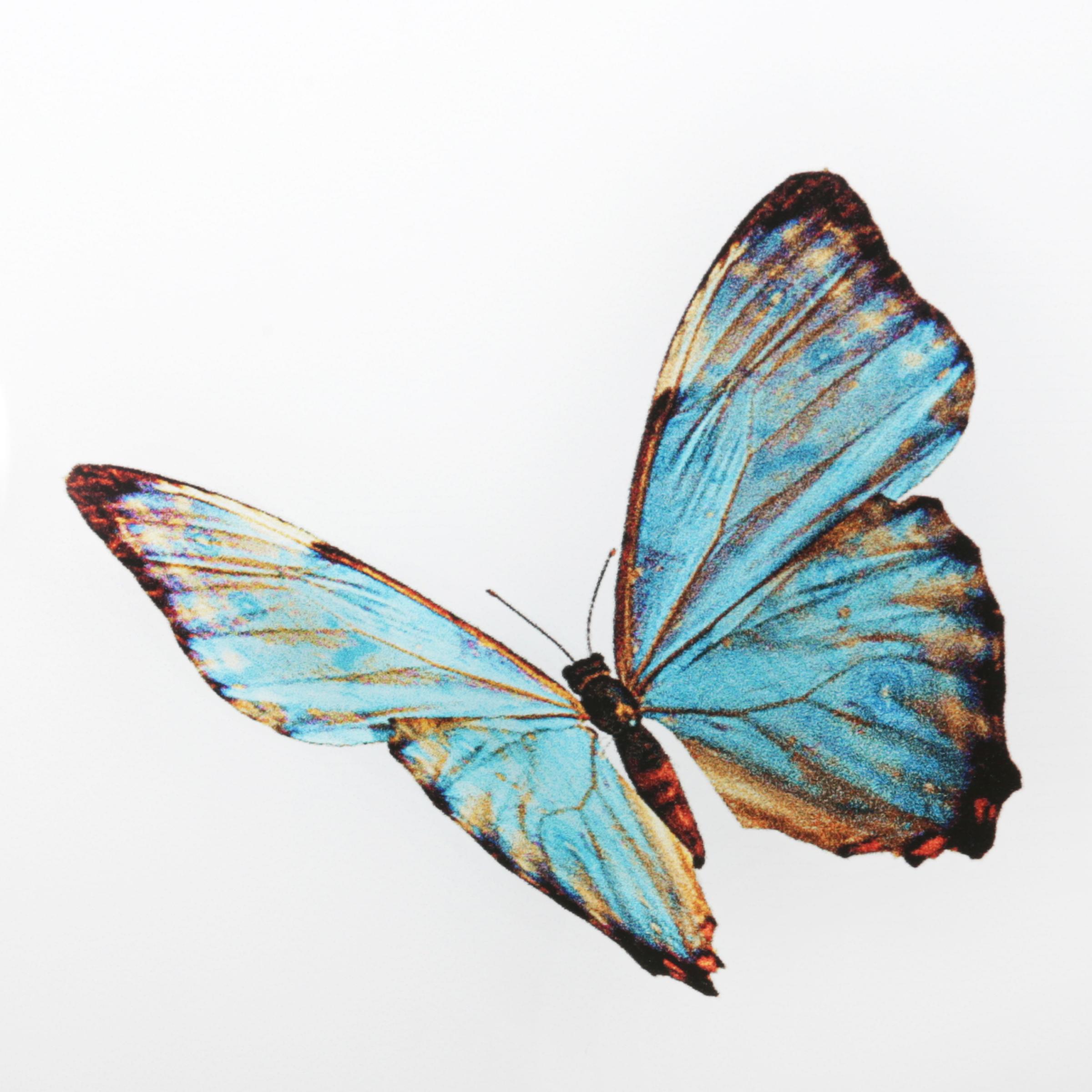 Butterflies Plexiglass Wall Decoration 3