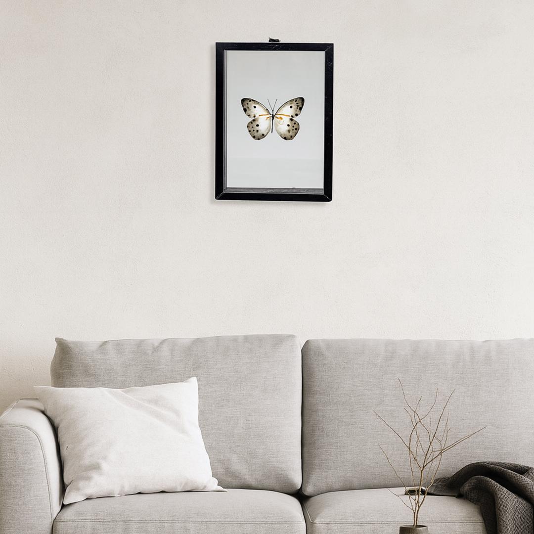 Organic Material Butterfly Box For Sale