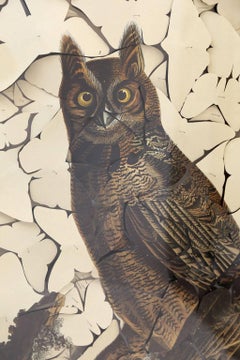 Butterfly Box Great Horned Owl Print