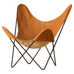 Butterfly Chair by Knoll, 1960s