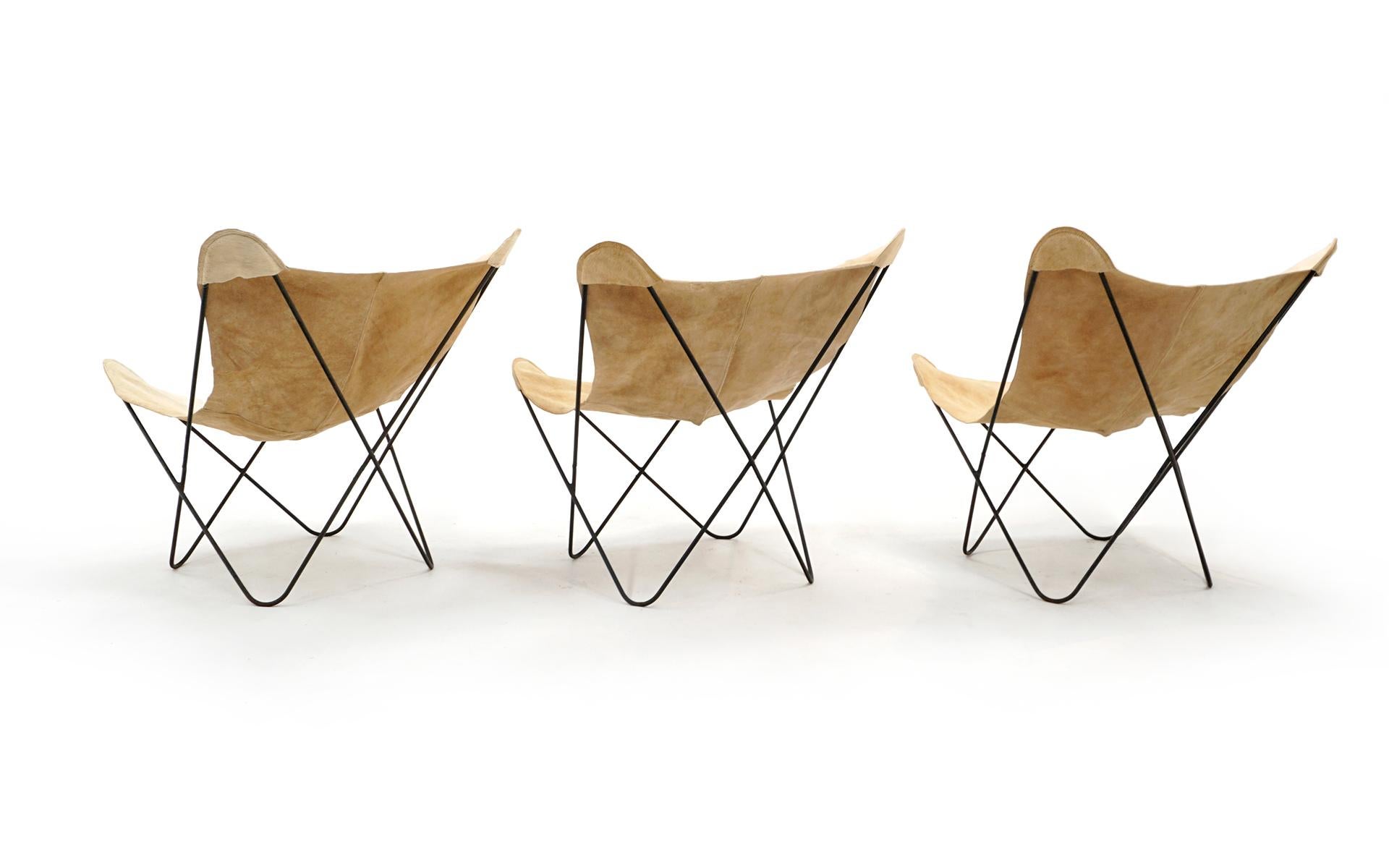 Mid-Century Modern Butterfly Chairs, New Hair-On Cowhide Leather Covers, Hardoy Design for Knoll