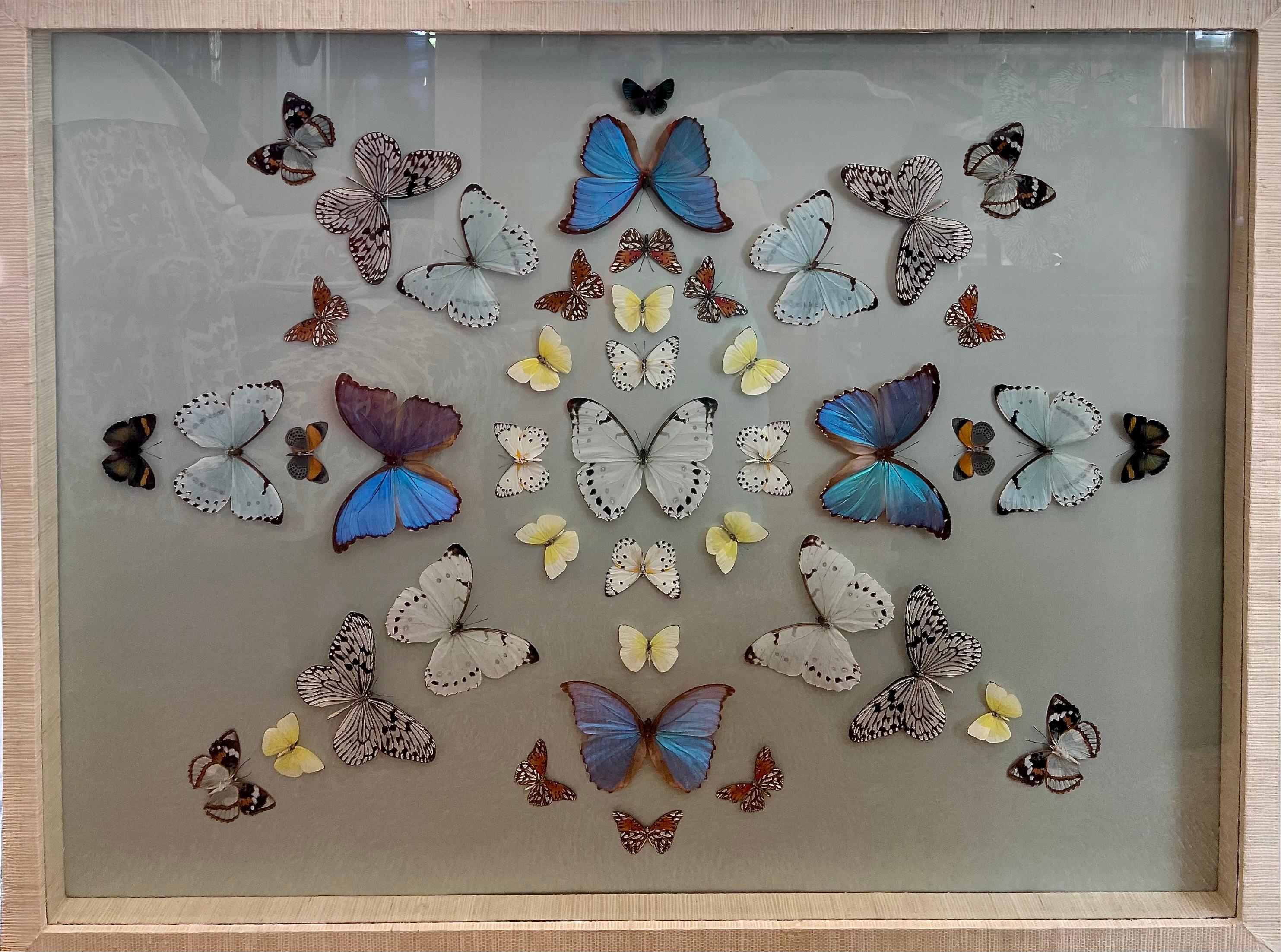 Una selección de obras de arte en collage de mariposas que muestran ejemplos de personalización  fondos con opciones de marco envuelto y pintado.

Este último año, Dawn ha estado creando collages de mariposas de gran formato en formaciones