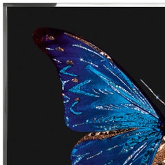 Butterfly Crystals Wall Decoration