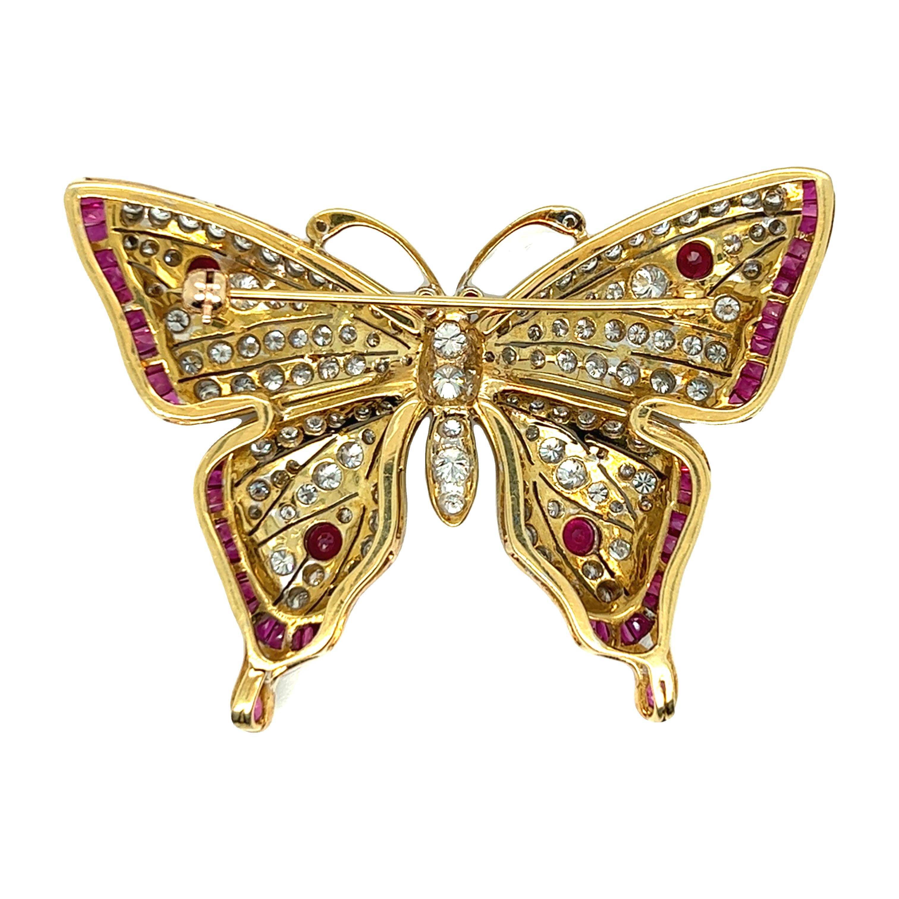 santa fe sapphire butterfly
